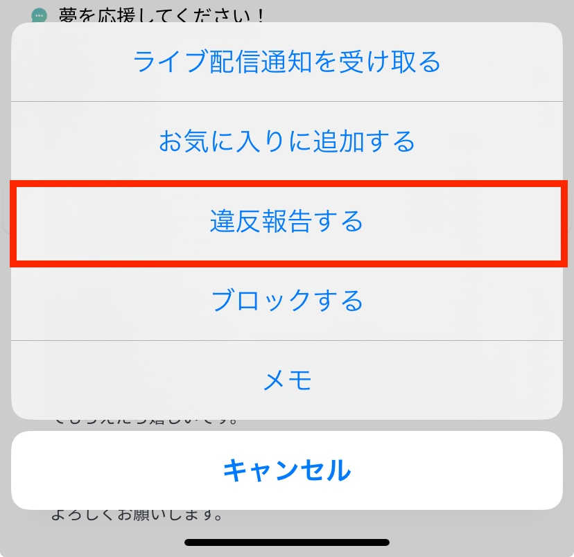 ペイターズで通報する方法