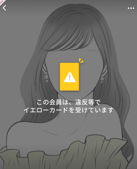 ペイターズのイエローカード表示画面。過去にトラブルを起こした会員のプロフィールに表示される警告マークを赤枠で示している。